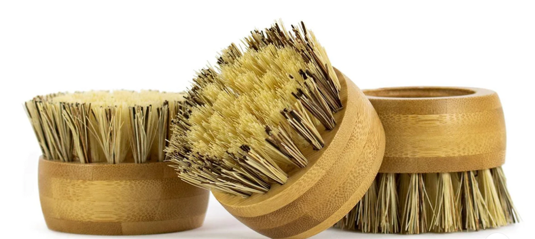 Nellie's Forever Brush Replacement Heads 3-Pack