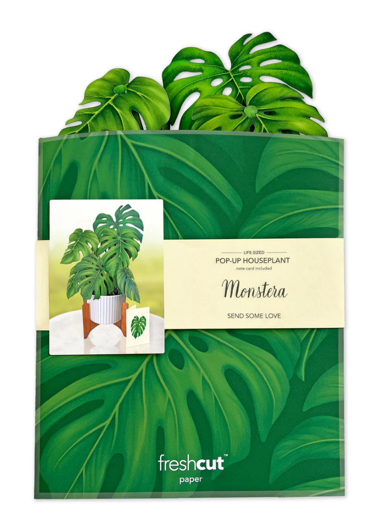 paper monstera plant FreshCut Paper Pop-Up Monstera Plant – Ginger's Uptown