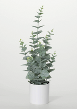 Potted Faux Eucalyptus Bush