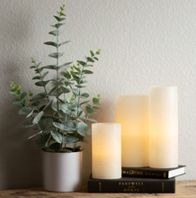 Potted Faux Eucalyptus Bush