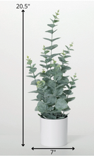 Potted Faux Eucalyptus Bush