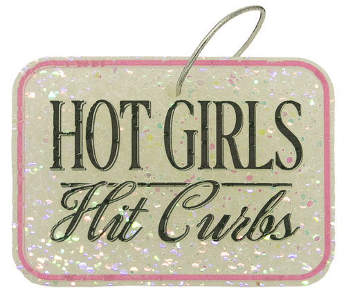 Hot Girls Hit Curbs Air Freshiez