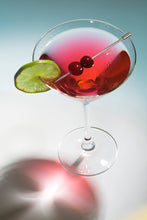 Cocktail Picks Set of 16