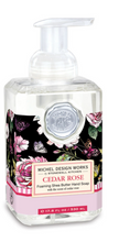 Michel Design Works Foaming Hand Soap