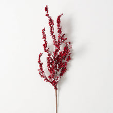 Frosted Red Berry & Twig Stem