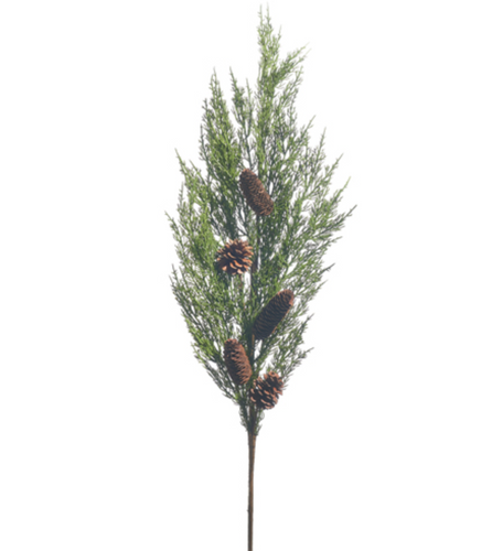 Cedar Pinecone Branch