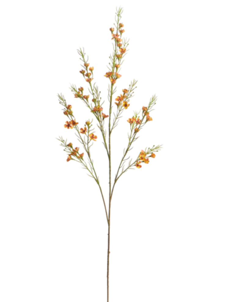 Yellow Waxflower Spray