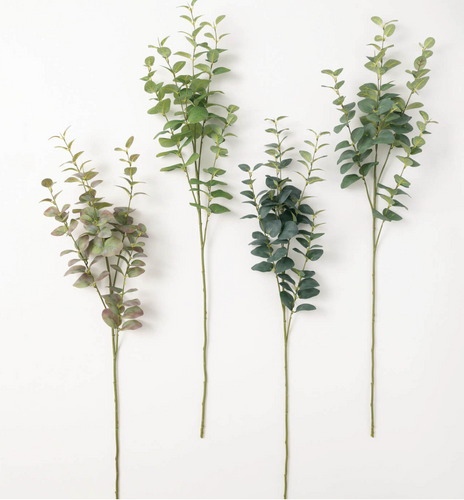 Eucalyptus Spray