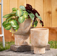 Rustic Planters