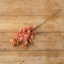 31.5" Orange Eucalyptus Spray