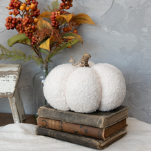 5.5" Boucle Pumpkin