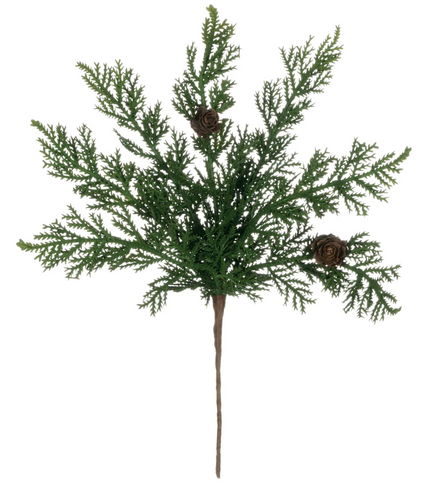 Cypress and Pine Cone Pick