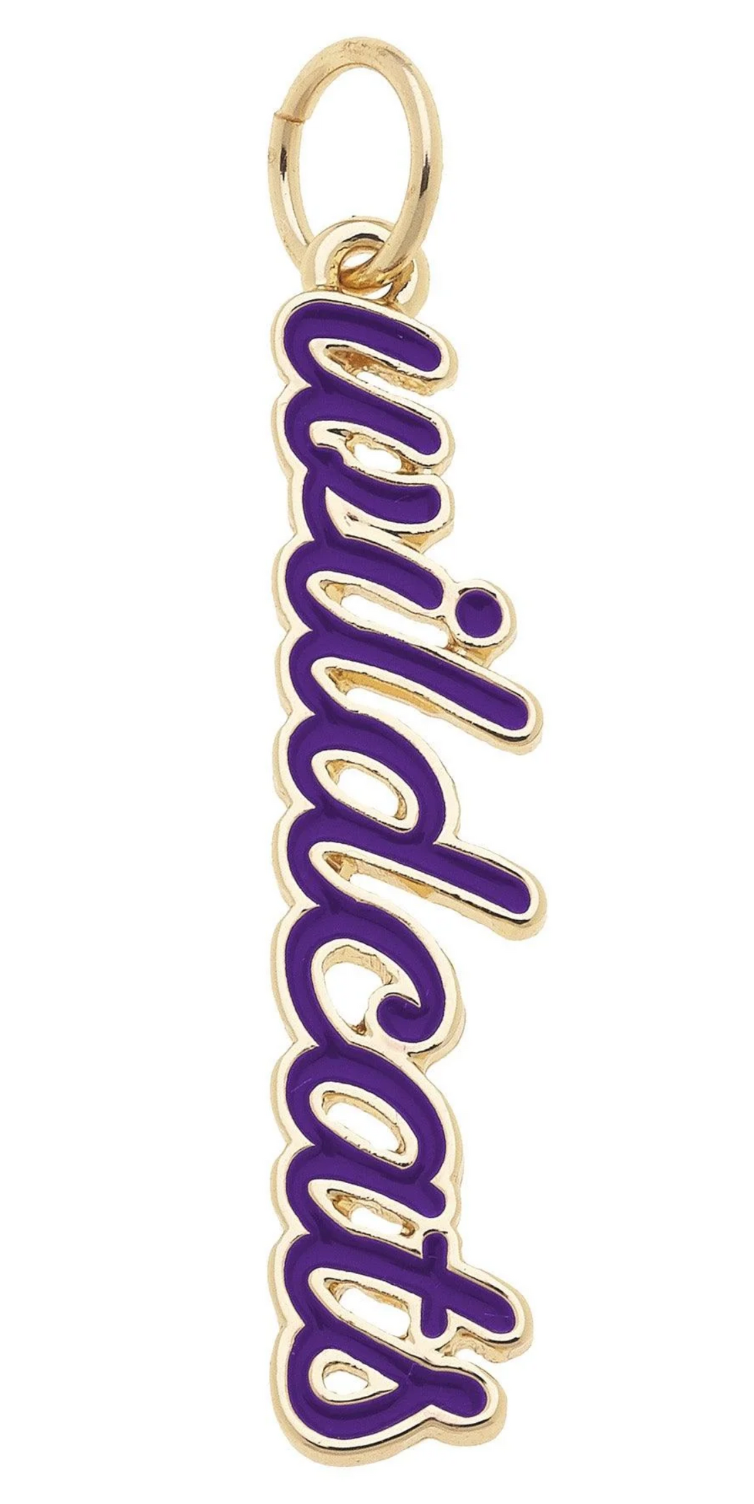 Wildcats Charm