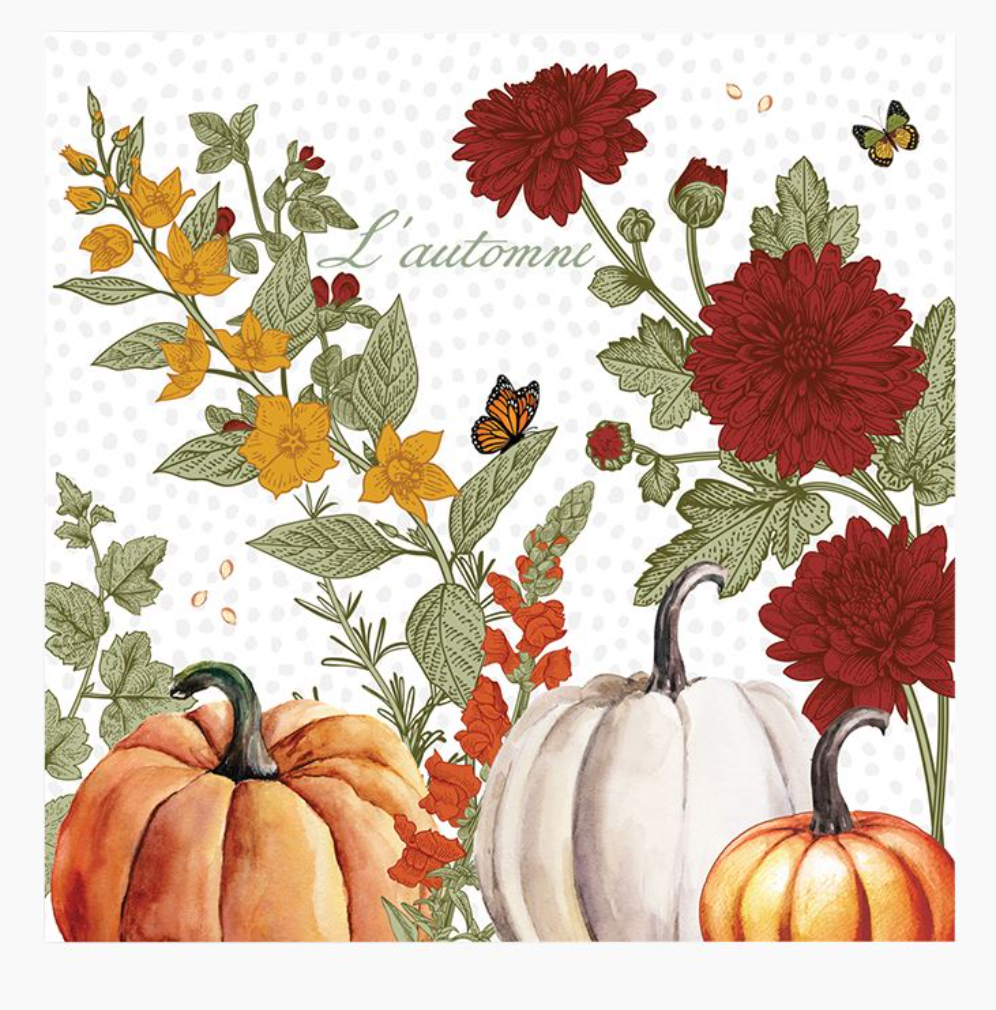 Michel Design Works Pumpkin Delight Cocktail Napkins