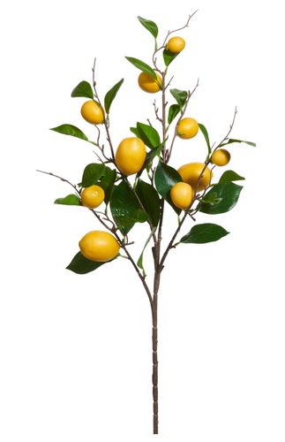 36