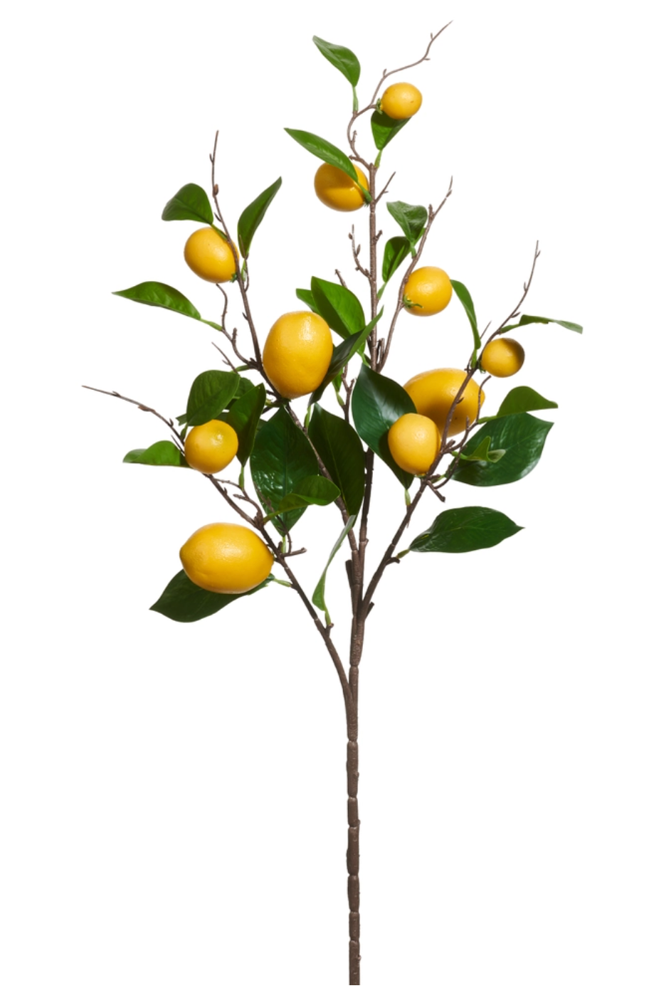 36