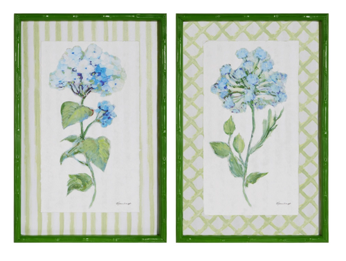 23.5