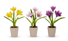 Real Touch Potted Crocus Bulb