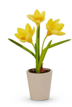Real Touch Potted Crocus Bulb