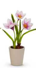 Real Touch Potted Crocus Bulb