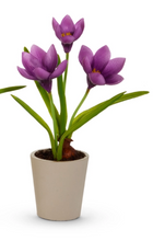 Real Touch Potted Crocus Bulb