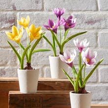 Real Touch Potted Crocus Bulb