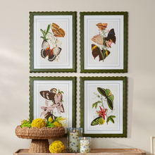 Butterfly Framed Wall Art