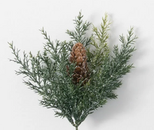 Mini Prickly Pine Picks