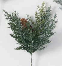 Mini Prickly Pine Picks