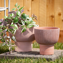 Terracotta Goblet Planters