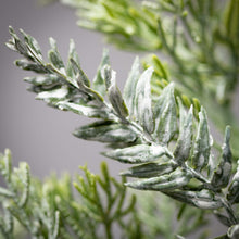 Frosted Cedar & Pinecone Spray