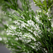 23" Frosted Green Cedar Wreath