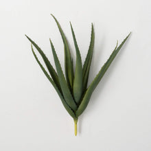 Spiky Aloe Vera Succulent Pick