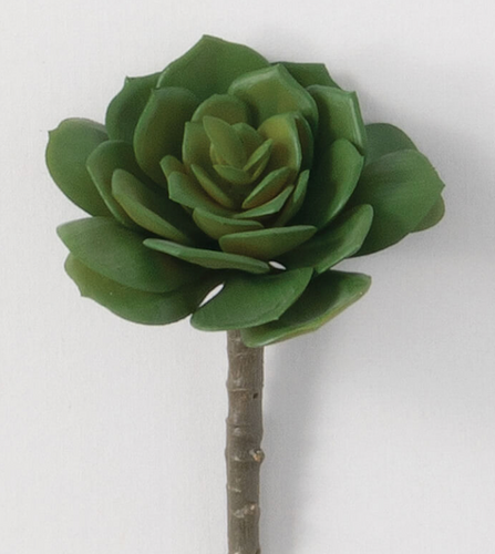 Green Succulent Pick