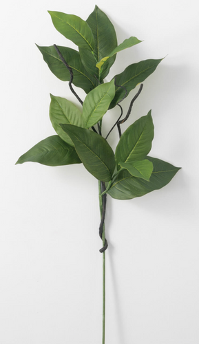 Salal Leaf Spray