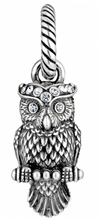 Wisdom Owl Charm