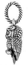 Wisdom Owl Charm