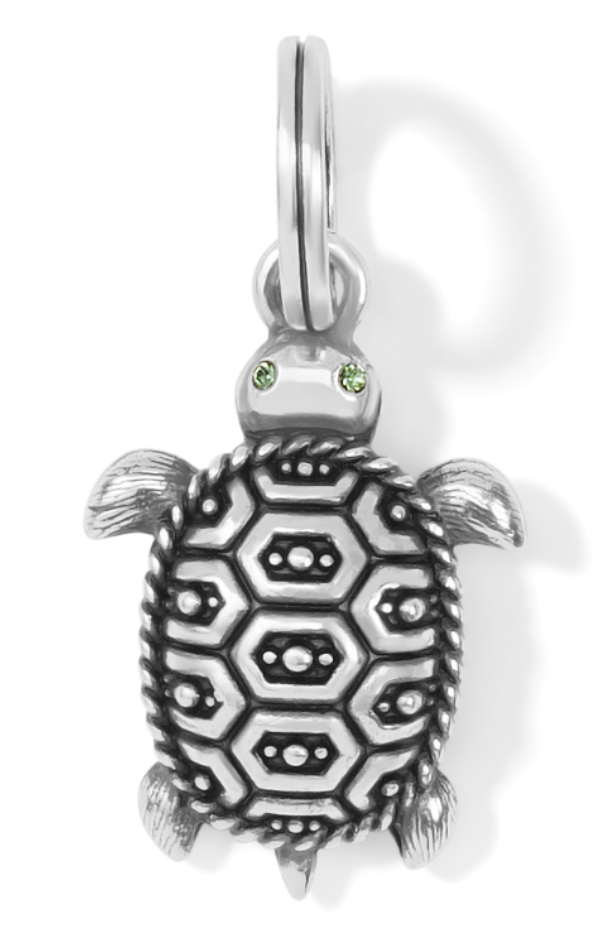Pismo Turtle Charm