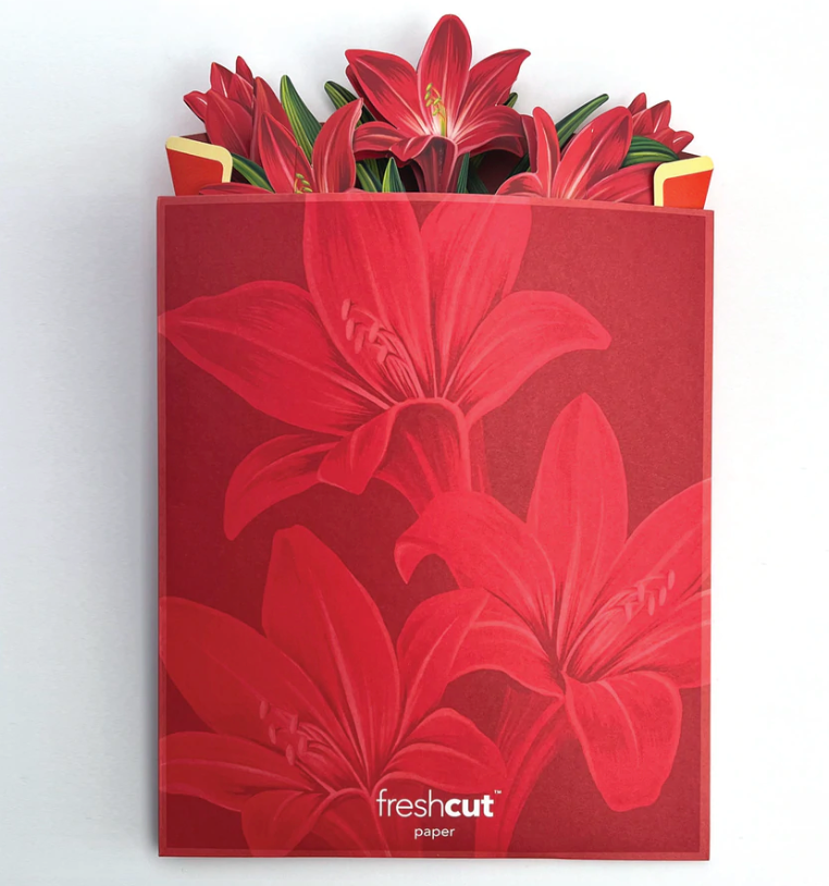 Fresh Cut Paper Red Amaryllis - THE BEACH PLUM COMPANY