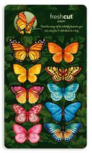 FreshCut Paper Pop-Up Butterflies & Buttercups